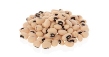 Фото сортов фасоли