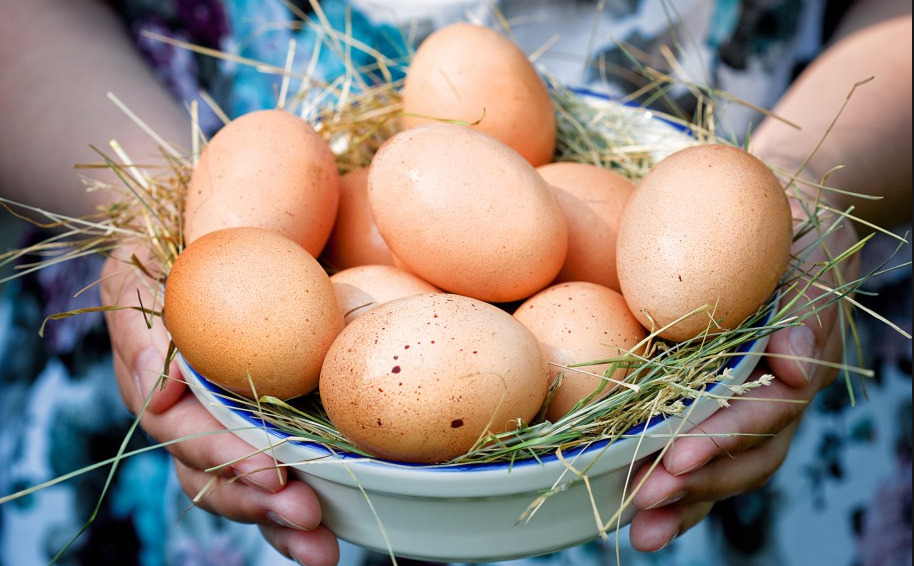полезно ли пить сырые куриные яйца