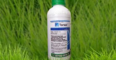 Фунгицид «Топаз»