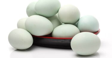 Яйцо утиное