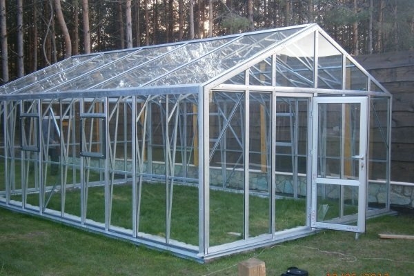 опыление клубники в теплице