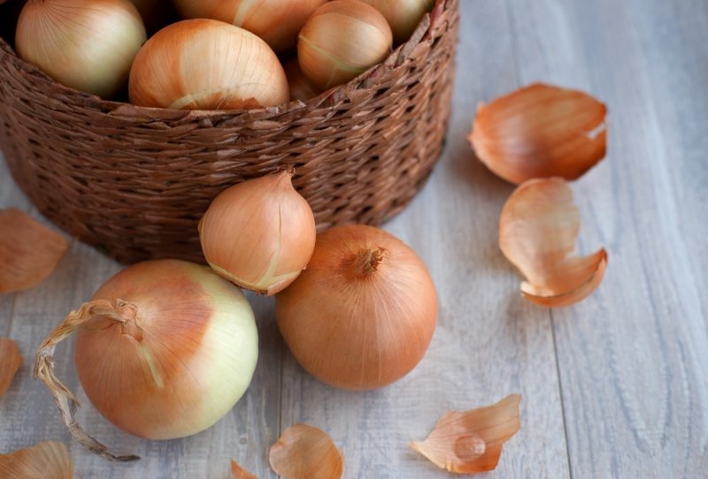 температура хранения лука репчатого