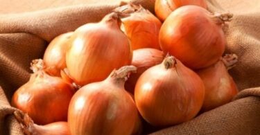 хранить репчатый лук в домашних условиях