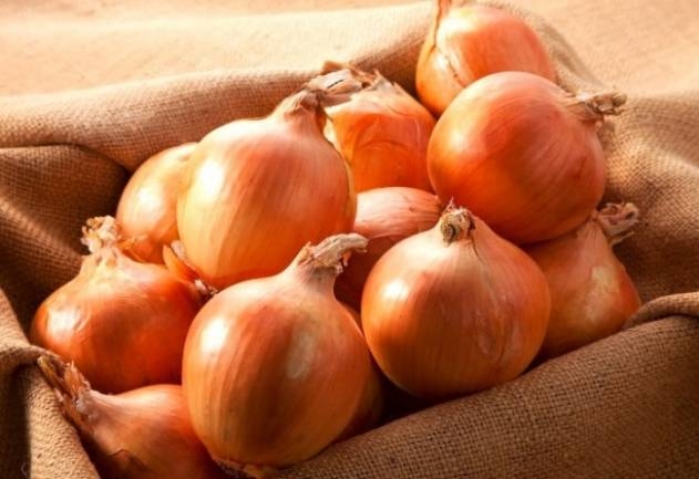условия хранения лука репчатого