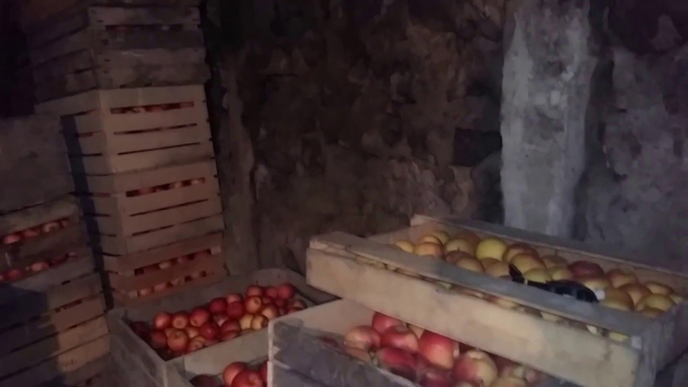 яблоня айдаред описание фото