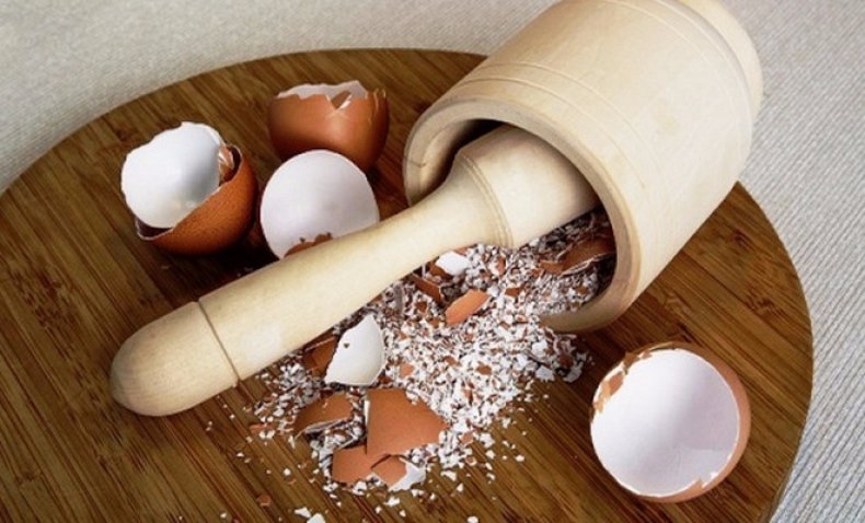 яичная скорлупа для огорода или сада применение