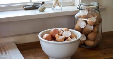 Яичная скорлупа для огорода